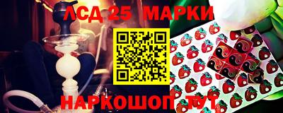 крисы Славянск-на-Кубани