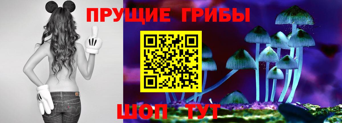 сколько стоит  Вход с VPN  Саяногорск  Галлюциногенные грибы прущие грибы  Галлюциногенные грибы мухоморы 